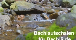 Bachlaufschalen für Bachläufe