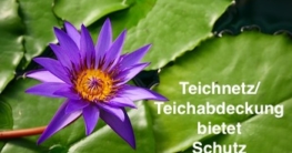 Technetz/Teichabdeckung bietet Schutz